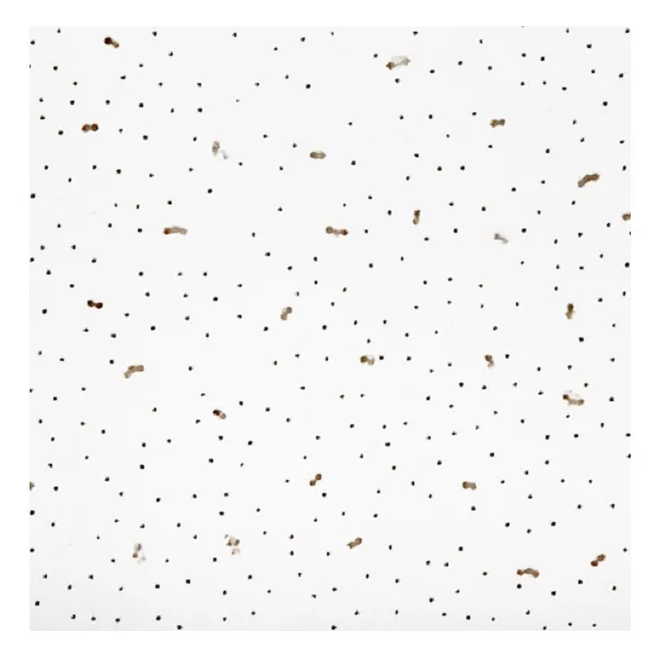 Потолочная плита Ангара  600×600×7 мм — прочная, легкая и простая в установке